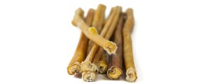 Read more about the article Can Bully Sticks Cause Diarrhea?